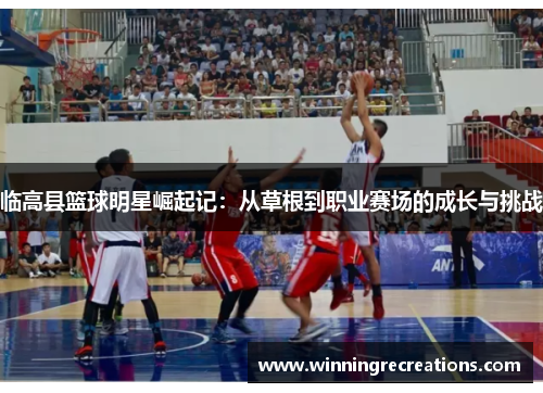 临高县篮球明星崛起记：从草根到职业赛场的成长与挑战