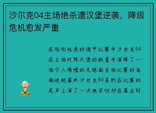 沙尔克04主场绝杀遭汉堡逆袭，降级危机愈发严重